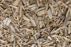 biomass boilers Whalton